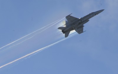 Hornet in action